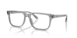 Shiny Transparent Grey / Demo Lens (6202)
