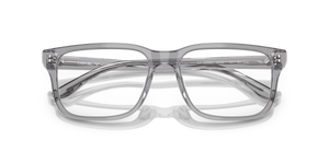 Shiny Transparent Grey / Demo Lens (6202)