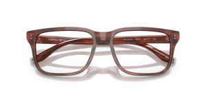 Shiny Havana Brown / Demo Lens (6203)