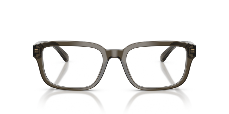 Emporio Armani EA3255F in Shiny Transparent Grey / Demo Lens (6249) - Alternate View