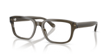 Shiny Transparent Grey / Demo Lens (6249)