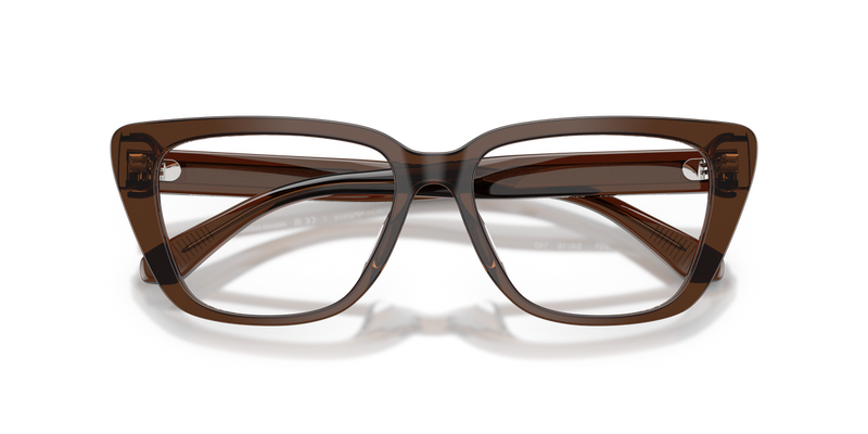 Emporio Armani EA3256U in Shiny Transparent Brown - Alternate View