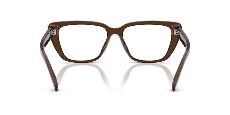 Emporio Armani EA3256U in Shiny Transparent Brown - Alternate View