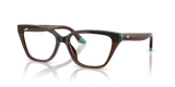 Transparent Brown/Teal / Demo Lens (6318)