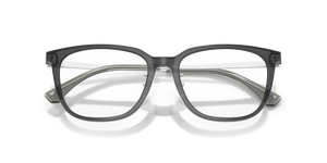 Shiny Transparent Grey / Demo Lens (5029)