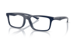 Shiny Blue/Blue Rubber / Demo Lens (6244)