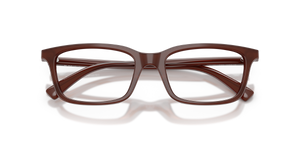 Shiny Opal Brown / Demo Lens (6454)