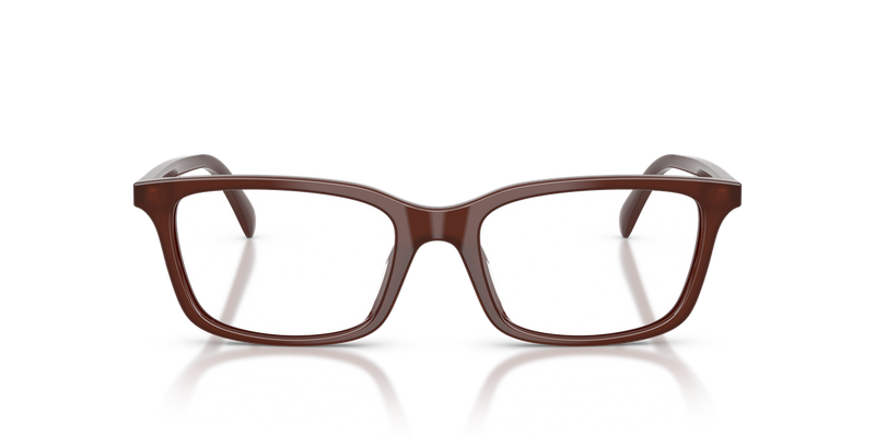 Emporio Armani EA3290U in Shiny Opal Brown - Alternate View