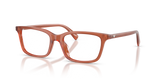 Shiny Opal Light Brown / Demo Lens (6455)
