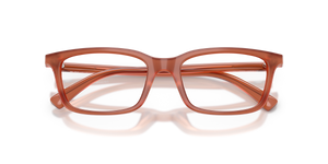 Shiny Opal Light Brown / Demo Lens (6455)