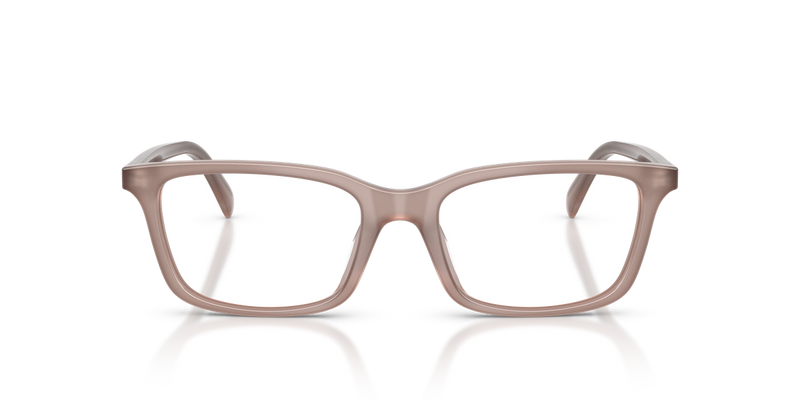 Emporio Armani EA3290U in Shiny Opal Tundra - Alternate View