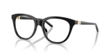 Shiny Black / Demo Lens (5017)