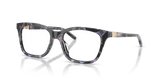 Shiny Havana Grey / Demo Lens (6460)