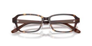 Shiny Havana / Demo Lens (5879)