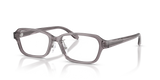 Shiny Transparent Grey / Demo Lens (6206)