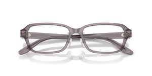 Shiny Transparent Grey / Demo Lens (6206)
