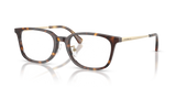 Shiny Havana / Demo Lens (5026)