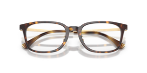 Shiny Havana / Demo Lens (5026)