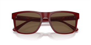 Transparent Bordeaux / Dark Brown (507573)