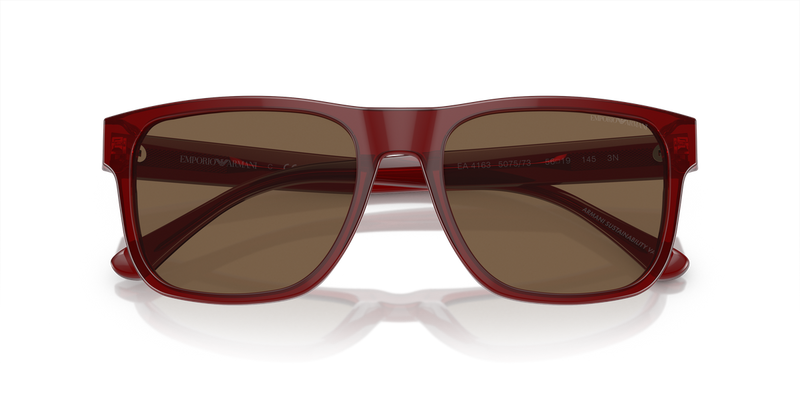 Emporio Armani EA4163 in Transparent Bordeaux / Dark Brown (507573) - Side View