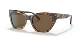 Shiny Brown Havana / Brown (502573)