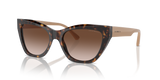 Shiny Havana / Gradient Brown (587913)