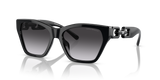 Shiny Black / Gradient Smoke (50178G)