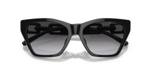 Shiny Black / Gradient Smoke (50178G)