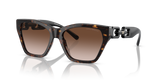 Shiny Havana / Gradient Brown (502613)