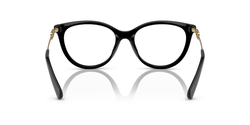Emporio Armani EA4213U in Shiny Black - Temple Detail