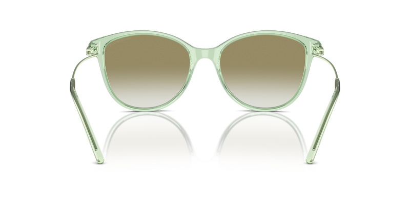 Emporio Armani EA4220 in Shiny Transparent Green - Temple Detail