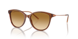 Shiny Transparent Light Brown / Yellow Gradient Light Brown (61103B)