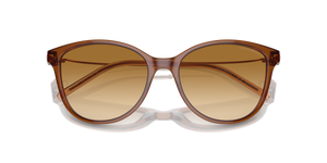 Shiny Transparent Light Brown / Yellow Gradient Light Brown (61103B)