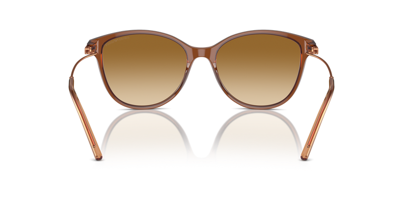 Emporio Armani EA4220 in Shiny Transparent Light Brown - Alternate View