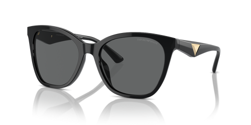 Shiny Black / Dark Grey (501787)