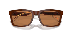 Shiny Opaline Brown / Brown (609573)