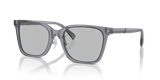 Shiny Transparent Grey / Light Grey (502987)