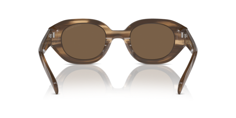 Emporio Armani EA4230U in Shiny Striped Brown - Alternate View