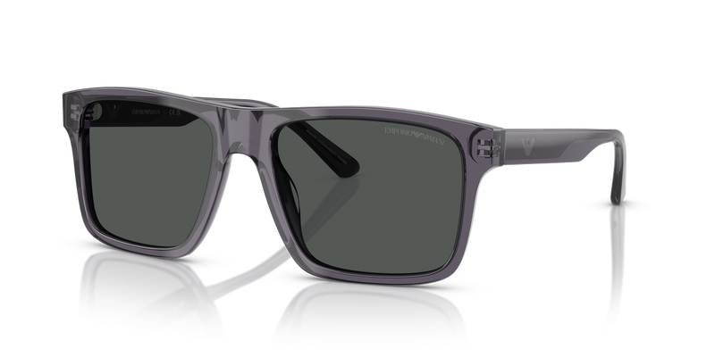 Emporio Armani EA4232F in Transparent Dark Grey - Front View