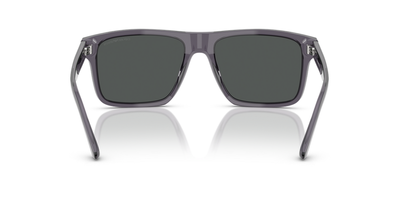 Emporio Armani EA4232F in Transparent Dark Grey - Temple Detail