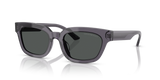 Transparent Grey / Dark Grey (610687)
