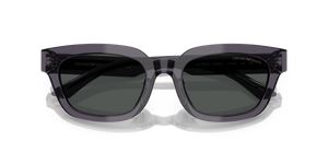Transparent Grey / Dark Grey (610687)
