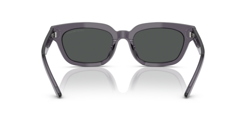 Emporio Armani EA4233U in Transparent Grey - Temple Detail