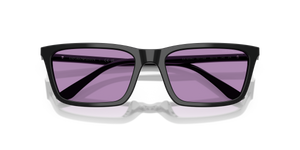 Shiny Black / Violet (501769)