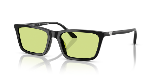 Emporio Armani EA4239U