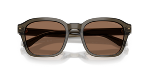 Shiny Transparent Grey / Dark Brown (624973)