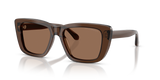 Shiny Transparent Brown / Dark Brown (625173)