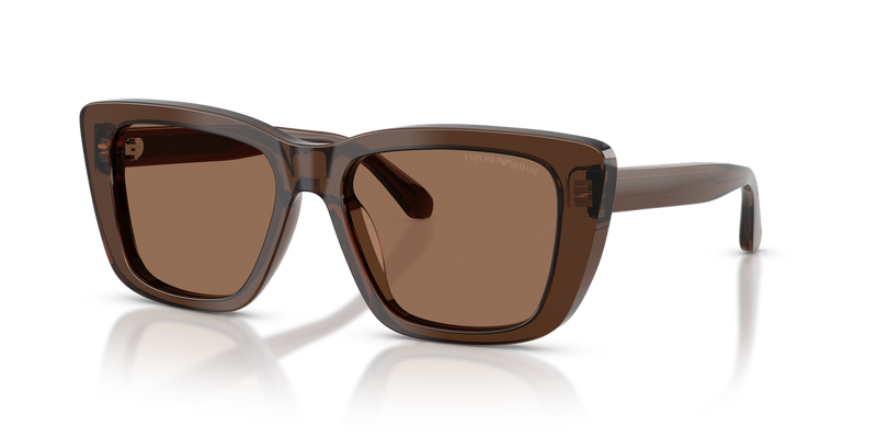 Emporio Armani EA4246U in Shiny Transparent Brown - Alternate View