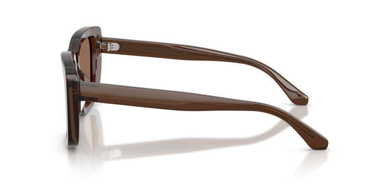 Emporio Armani EA4246U in Shiny Transparent Brown - Alternate View