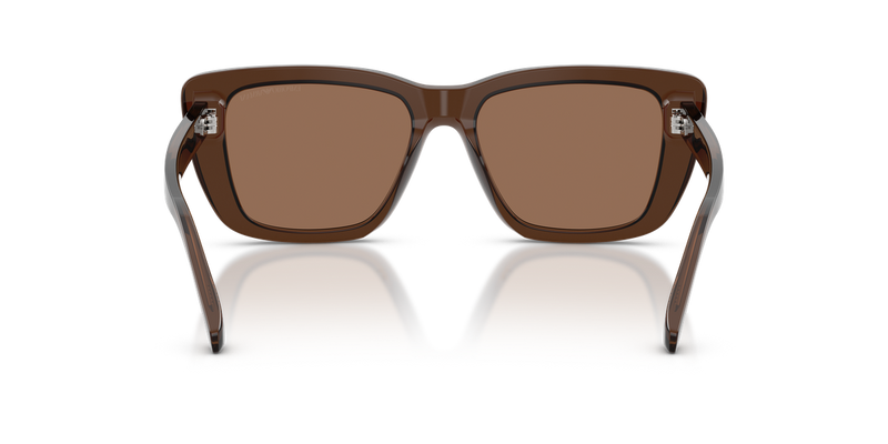 Emporio Armani EA4246U in Shiny Transparent Brown - Alternate View